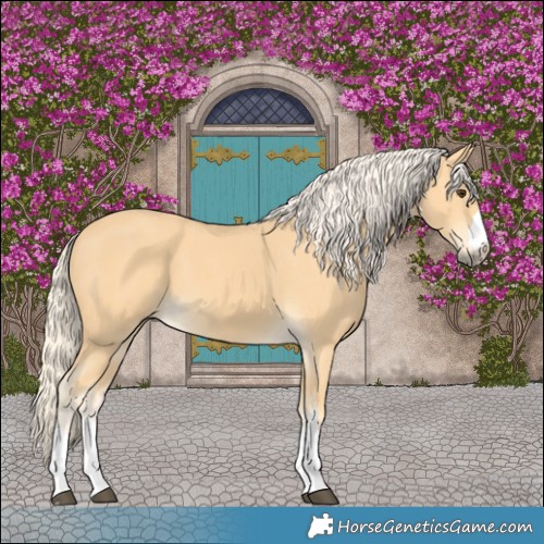 Horse Color:Palomino 