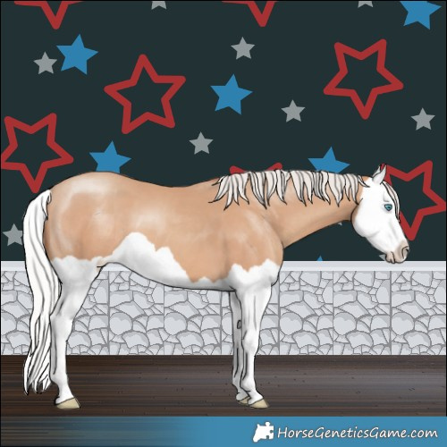 Horse Color:Silver Classic Champagne Splash 