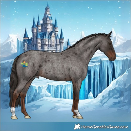 Horse Color:Liver Red Roan 