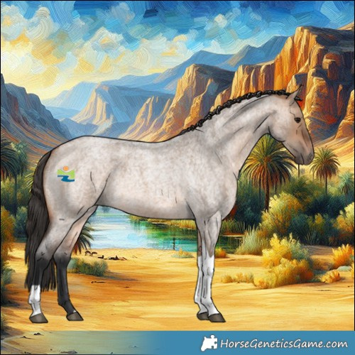 Horse Color:Bay Roan Dun Tobiano