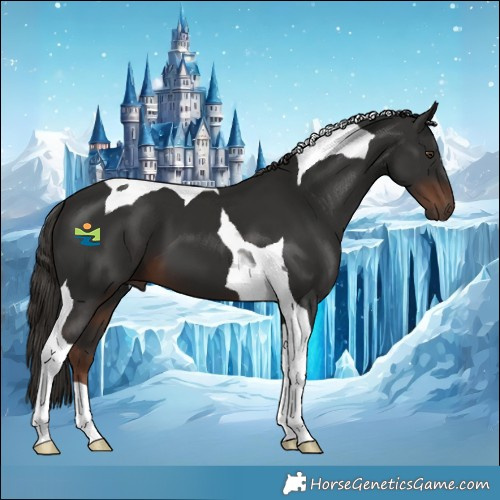 Horse Color:Liver Chestnut Tobiano 