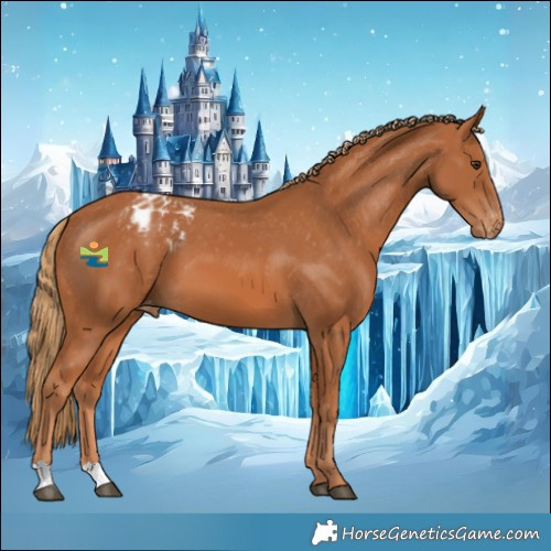 Horse Color:Chestnut Varnish 