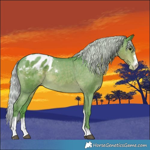 Horse Color:Watercolor Silver Smoky Black Sabino Varnish 