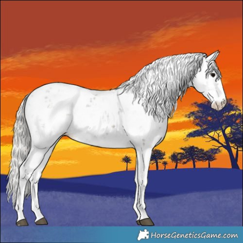 Horse Color:Silver Black Sabino
