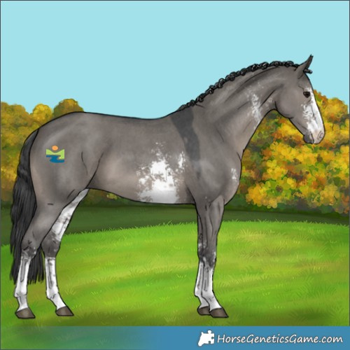 Horse Color:Grullo Sabino 