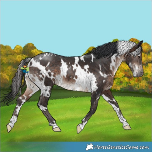Horse Color:White Spotted Brown Mushroom 