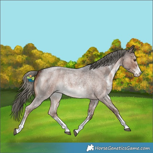Horse Color:Liver Red Roan Mushroom Sabino