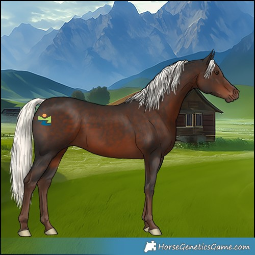 Horse Color:Liver Chestnut Mushroom 