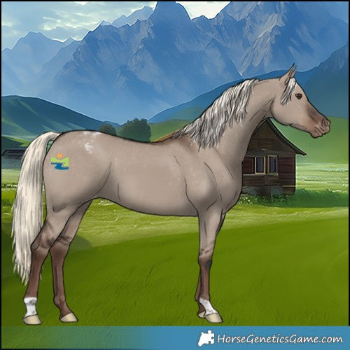 Horse Color:Liver Red Dun Mushroom Varnish 