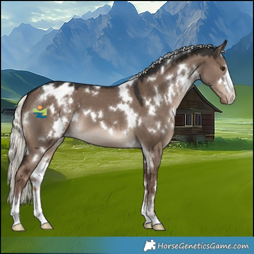 Horse Color:White Spotted Liver Red Dun Mushroom Varnish 