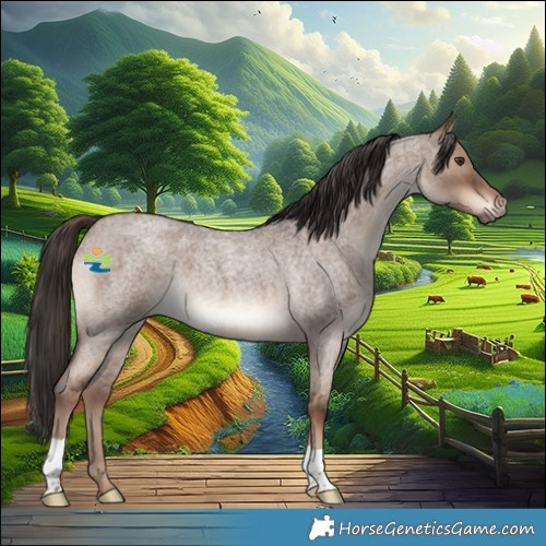 Horse Color:Liver Red Dun Roan 