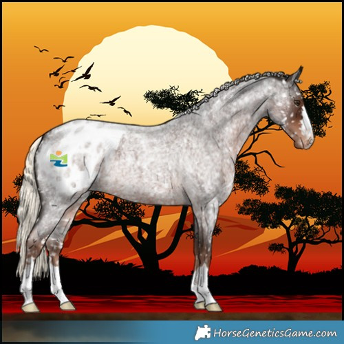 Horse Color:Liver Red Roan Mushroom Blanket 