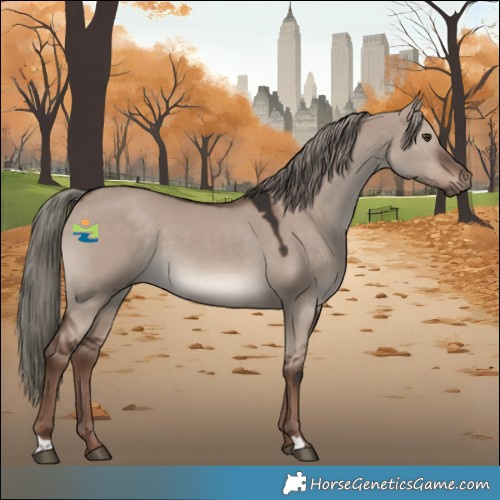 Horse Color:Liver Red Dun Mushroom 