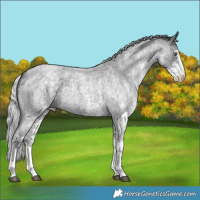 Horse Color:White Spotted Silver Blue Chinchilla Roan 