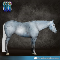Horse Color:ERROR: UNKNOWN ANOMALY