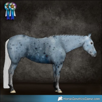Horse Color:ERROR: UNKNOWN ANOMALY
