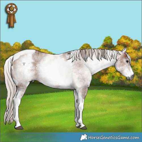 Horse Color:Gray White Spotted Chocolate Silver Bay Dun Tobiano 