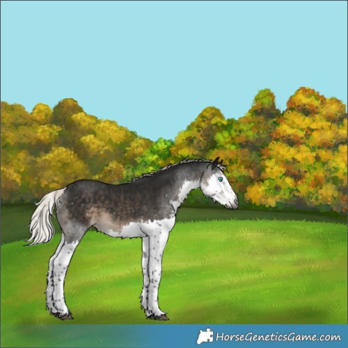 Horse Color:Gray Silver Smoky Black Splash Tobiano 