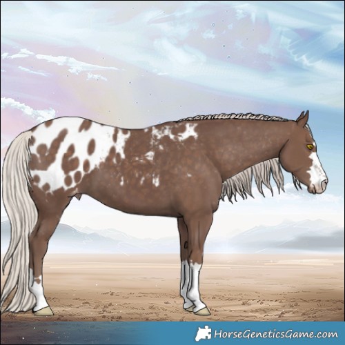 Horse Color:Silver Black Blanket 