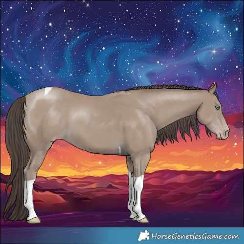 Horse Color:Classic Champagne Tobiano