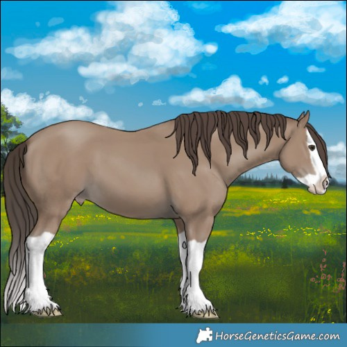 Horse Color:Classic Champagne Splash 