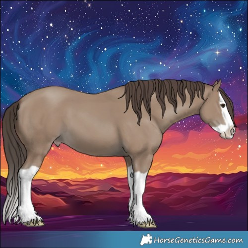 Horse Color:Classic Champagne Splash 