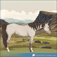 Horse Color:Classic Champagne Dun