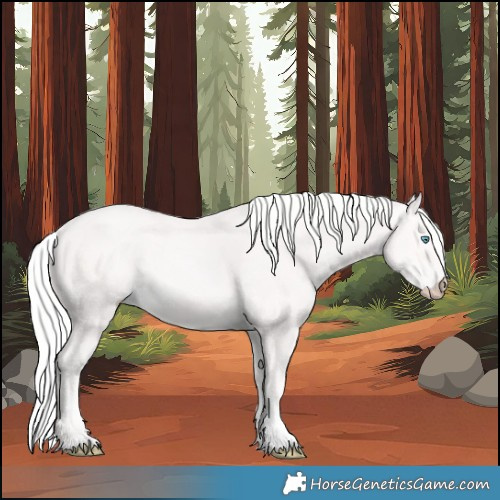 Horse Color:Cremello