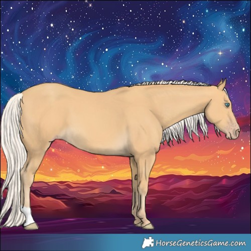 Horse Color:Silver Amber Cream Champagne