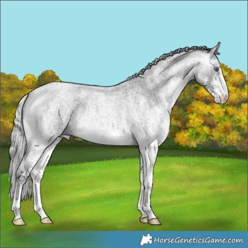 Horse Color:White Spotted Silver Buckskin Chinchilla Roan 
