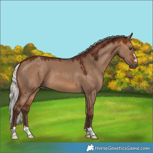 Horse Color:Silver Brown Dun 