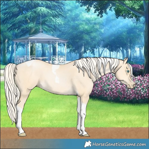 Horse Color:Palomino Pearl Dun Tobiano 