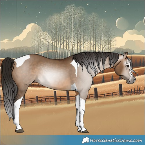 Horse Color:Gray Bay Dun Splash Tobiano Rabicano 