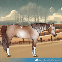 Horse Color:Gray Chocolate Bay Dun Tobiano 