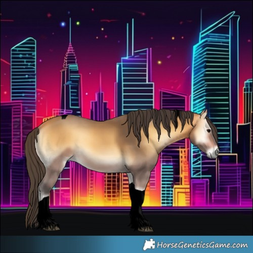Horse Color:Void Buckskin Onyx Tobiano 