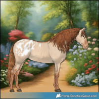 Horse Color:Red Dun Blanket 