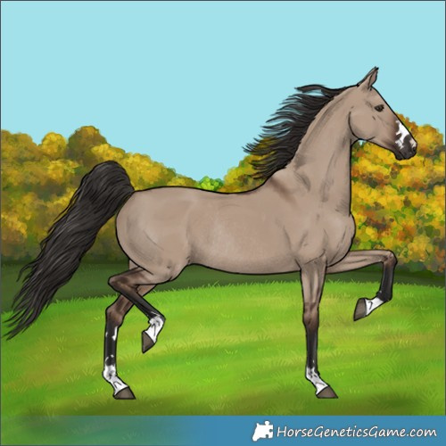 Horse Color:Liver Red Dun Rabicano