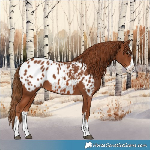 Horse Color:Chestnut Splash Blanket 