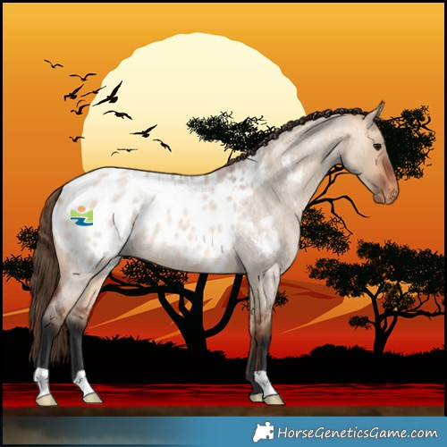 Horse Color:Bay Roan Dun Blanket 