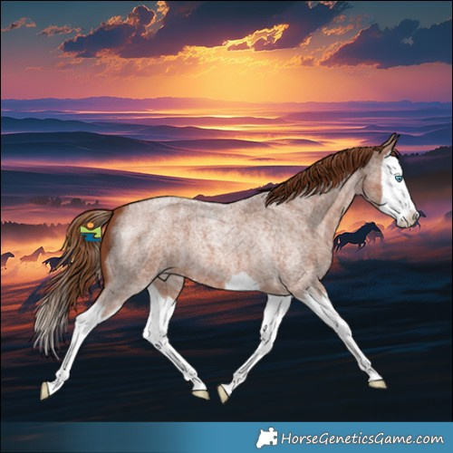 Horse Color:Red Roan Splash 