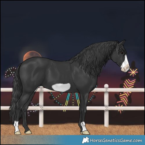 Horse Color:Black Frame 