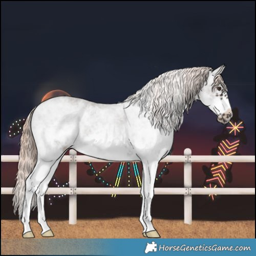 Horse Color:White Spotted Liver Chestnut Frame 