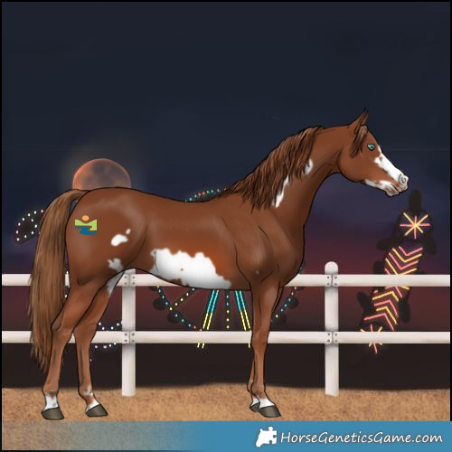 Horse Color:Chestnut Frame 