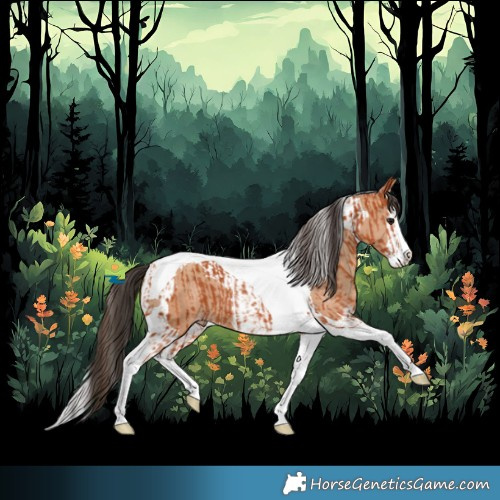 Horse Color:Bay Splash Tobiano  and Amber Champagne Splash Tobiano 