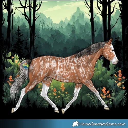 Horse Color:Bay Splash Appaloosa  and Silver Bay Splash 