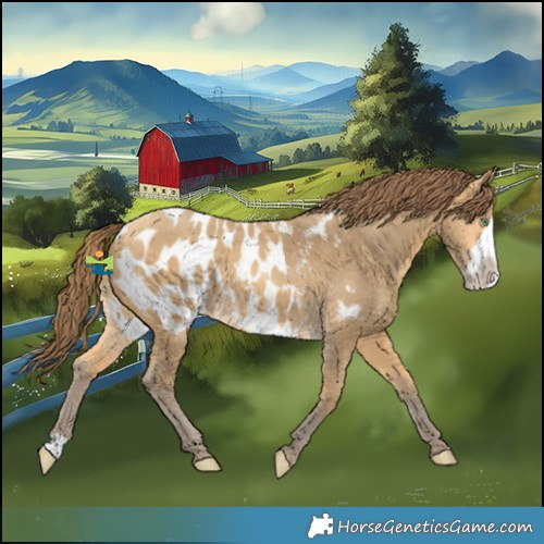 Horse Color:Amber Cream Champagne Frame Blanket 