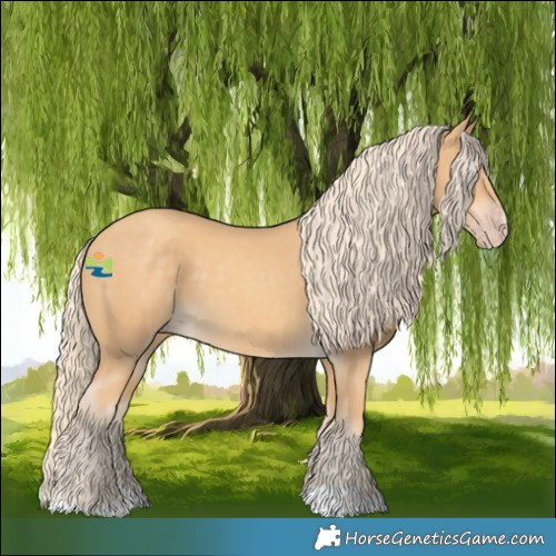 Horse Color:Gold Cream Champagne