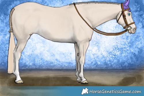Horse Color:Smoky Creme 