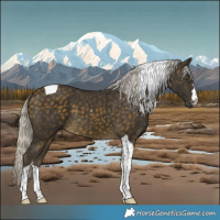 Horse Color:Silver Buckskin Tobiano