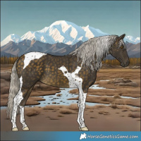 Horse Color:Silver Buckskin Tobiano